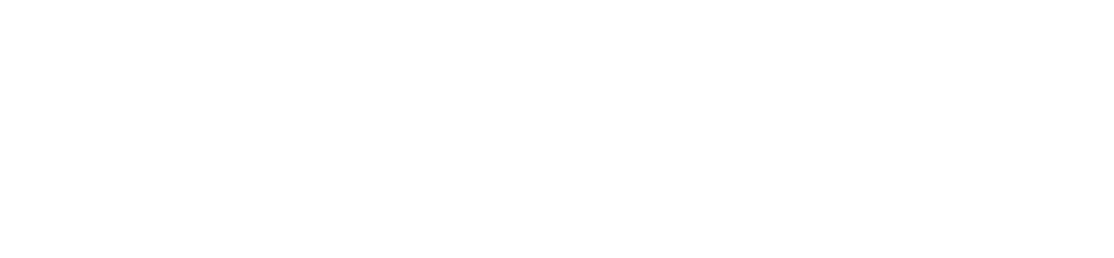 William and Lee Business Consulting Logo - White